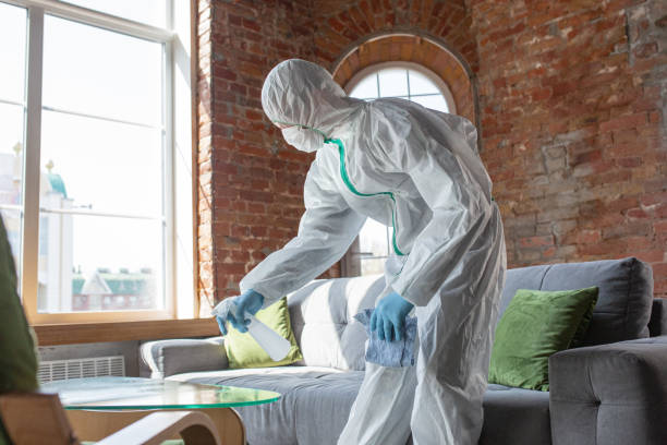 Reliable Jackson, SC Mold Removal Solutions